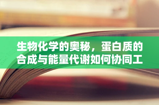 生物化学的奥秘，蛋白质的合成与能量代谢如何协同工作？