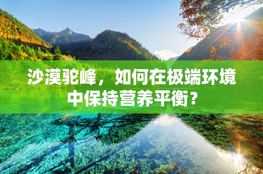 沙漠驼峰，如何在极端环境中保持营养平衡？