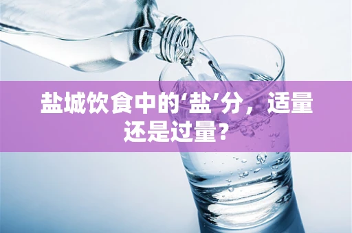 盐城饮食中的‘盐’分，适量还是过量？