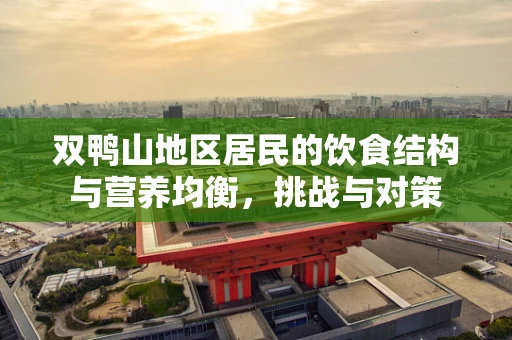 双鸭山地区居民的饮食结构与营养均衡，挑战与对策
