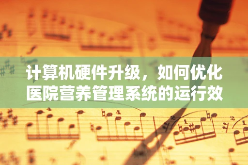 计算机硬件升级，如何优化医院营养管理系统的运行效率？