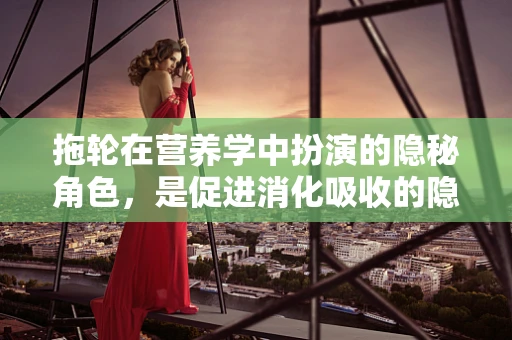拖轮在营养学中扮演的隐秘角色，是促进消化吸收的隐形推手吗？
