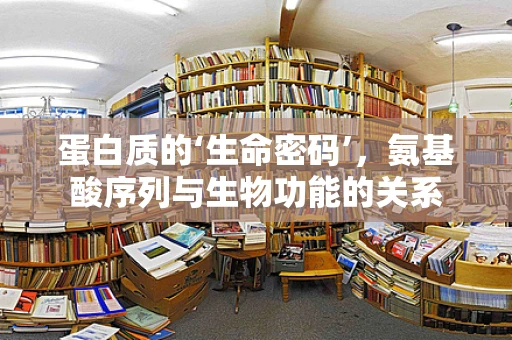 蛋白质的‘生命密码’，氨基酸序列与生物功能的关系