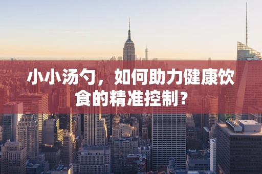 小小汤勺，如何助力健康饮食的精准控制？