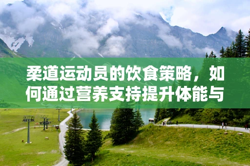 柔道运动员的饮食策略，如何通过营养支持提升体能与耐力？