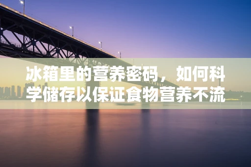 冰箱里的营养密码，如何科学储存以保证食物营养不流失？