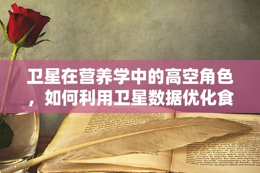卫星在营养学中的高空角色，如何利用卫星数据优化食物分配？