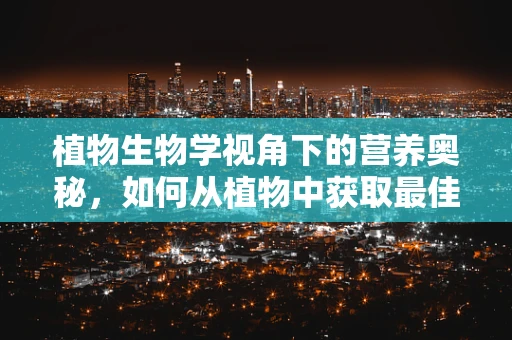 植物生物学视角下的营养奥秘，如何从植物中获取最佳营养？