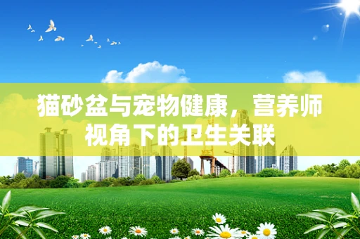 猫砂盆与宠物健康，营养师视角下的卫生关联