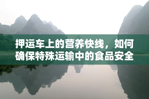 押运车上的营养快线，如何确保特殊运输中的食品安全与营养？