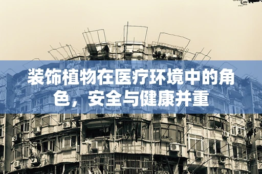 装饰植物在医疗环境中的角色，安全与健康并重