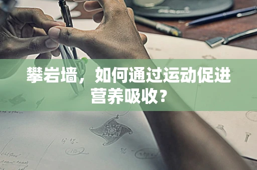 攀岩墙，如何通过运动促进营养吸收？