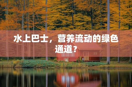 水上巴士，营养流动的绿色通道？