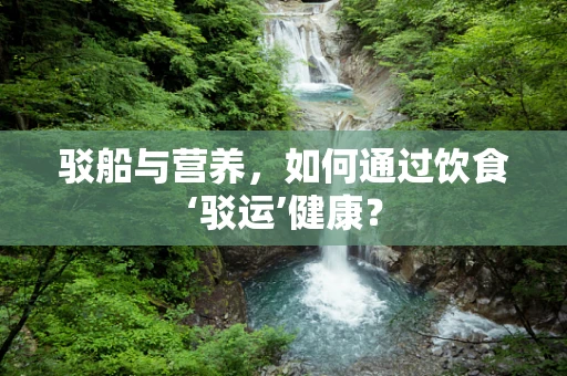 驳船与营养，如何通过饮食‘驳运’健康？
