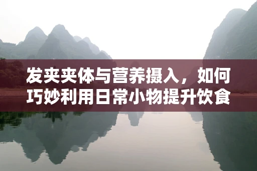 发夹夹体与营养摄入，如何巧妙利用日常小物提升饮食管理？