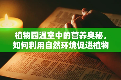 植物园温室中的营养奥秘，如何利用自然环境促进植物健康生长？