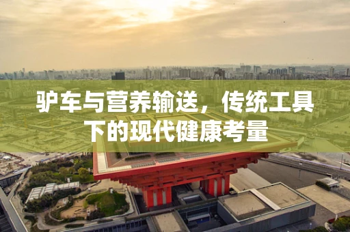 驴车与营养输送，传统工具下的现代健康考量