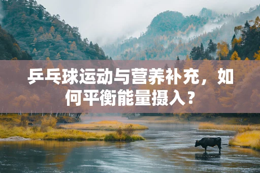 乒乓球运动与营养补充，如何平衡能量摄入？