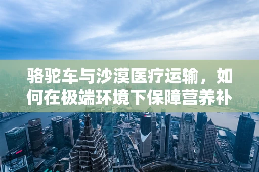 骆驼车与沙漠医疗运输，如何在极端环境下保障营养补给？