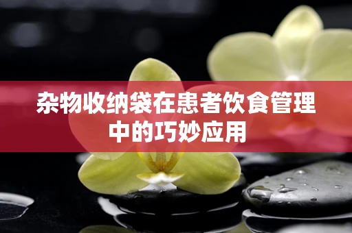 杂物收纳袋在患者饮食管理中的巧妙应用