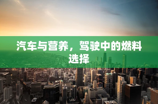 汽车与营养，驾驶中的燃料选择