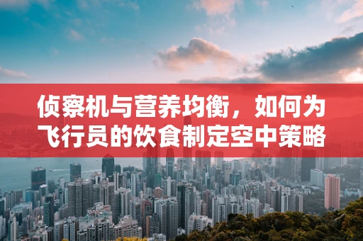 侦察机与营养均衡，如何为飞行员的饮食制定空中策略？