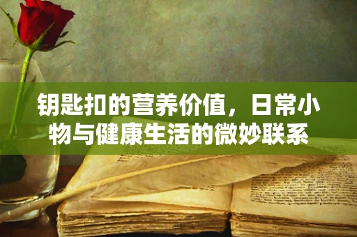 钥匙扣的营养价值，日常小物与健康生活的微妙联系
