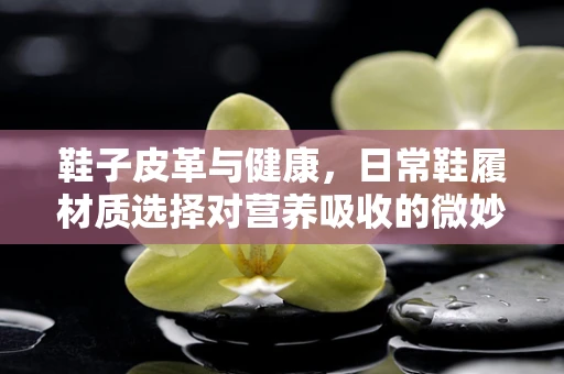 鞋子皮革与健康，日常鞋履材质选择对营养吸收的微妙影响