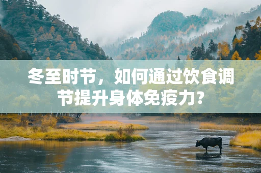 冬至时节，如何通过饮食调节提升身体免疫力？