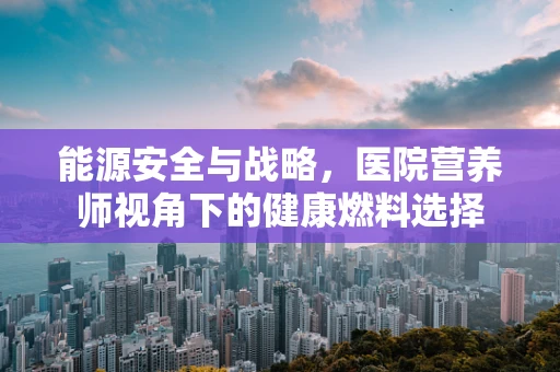 能源安全与战略，医院营养师视角下的健康燃料选择