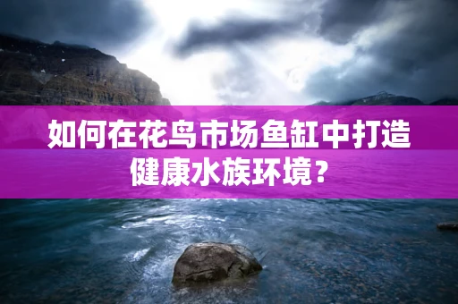 如何在花鸟市场鱼缸中打造健康水族环境？