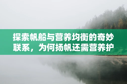 探索帆船与营养均衡的奇妙联系，为何扬帆还需营养护航？