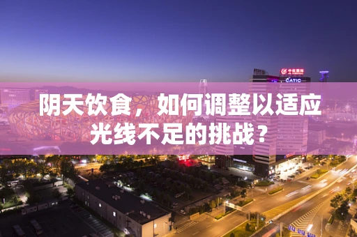 阴天饮食，如何调整以适应光线不足的挑战？