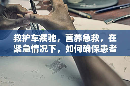 救护车疾驰，营养急救，在紧急情况下，如何确保患者获得恰当的营养支持？