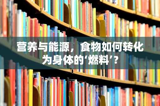 营养与能源，食物如何转化为身体的‘燃料’？