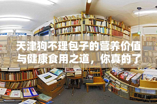 天津狗不理包子的营养价值与健康食用之道，你真的了解吗？