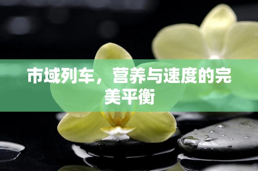 市域列车，营养与速度的完美平衡