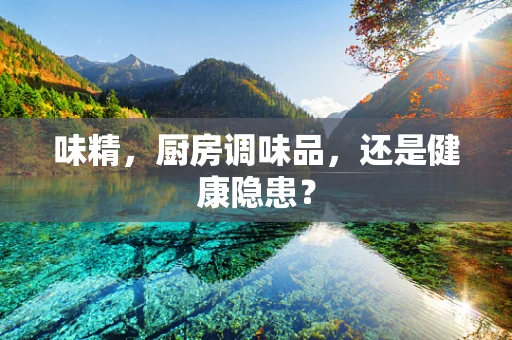 味精，厨房调味品，还是健康隐患？