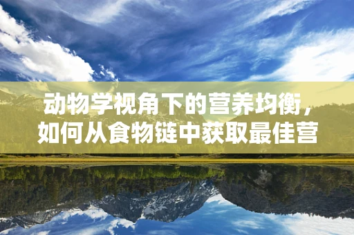 动物学视角下的营养均衡，如何从食物链中获取最佳营养？