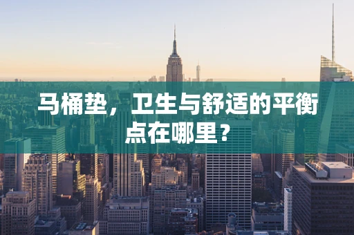 马桶垫，卫生与舒适的平衡点在哪里？
