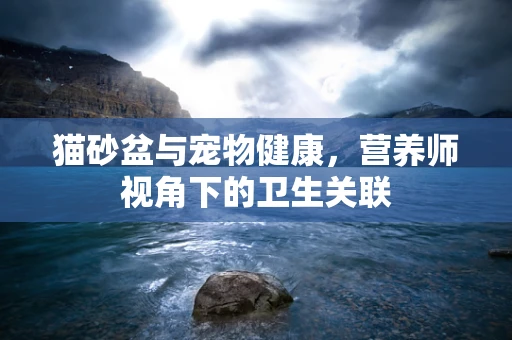 猫砂盆与宠物健康，营养师视角下的卫生关联