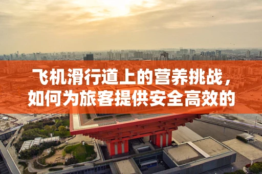 飞机滑行道上的营养挑战，如何为旅客提供安全高效的饮食服务？