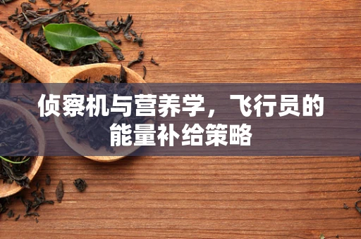 侦察机与营养学，飞行员的能量补给策略