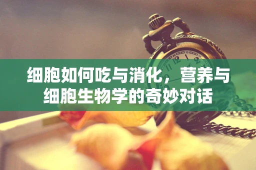 细胞如何吃与消化，营养与细胞生物学的奇妙对话