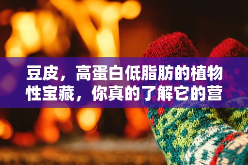 豆皮，高蛋白低脂肪的植物性宝藏，你真的了解它的营养价值吗？