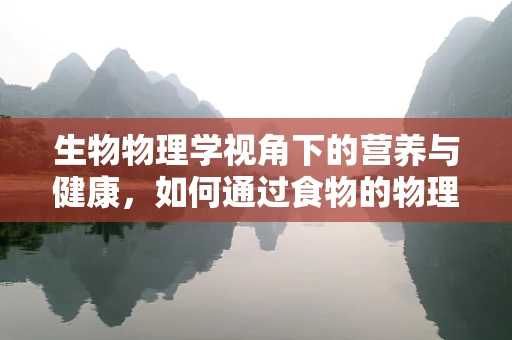 生物物理学视角下的营养与健康，如何通过食物的物理特性影响生物体？