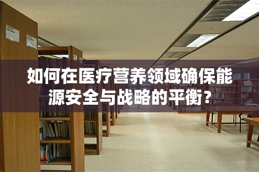 如何在医疗营养领域确保能源安全与战略的平衡？