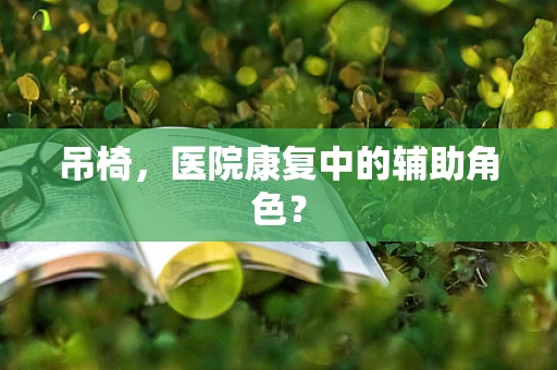 吊椅，医院康复中的辅助角色？