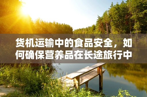 货机运输中的食品安全，如何确保营养品在长途旅行中不失真？