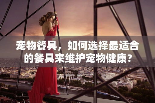 宠物餐具，如何选择最适合的餐具来维护宠物健康？